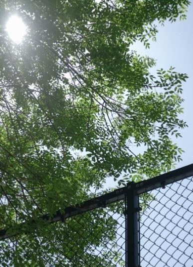 1619591530286546.png 微信图片_20210428143117.png