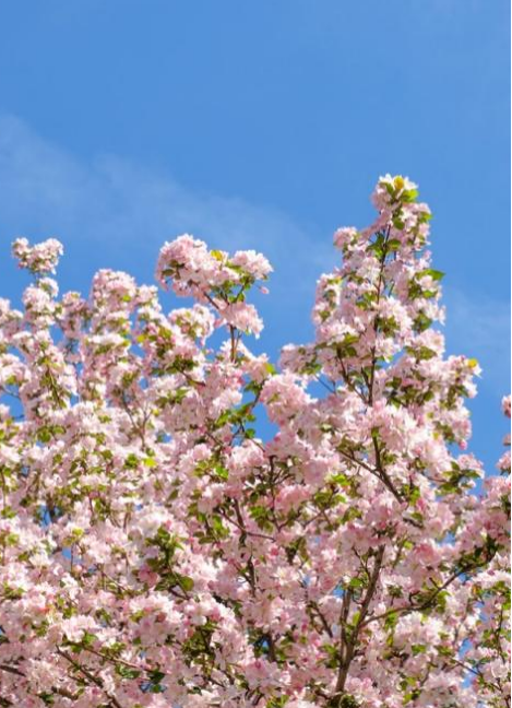 1619591621821943.png 微信图片_20210428143128.png