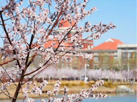 “栽种新春绿意，收获繁华四季”暨第十四届宿舍文化节闭幕式来啦！